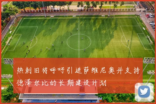 热刺旧将呼吁引进萨维尼奥并支持德泽尔比的长期建设计划