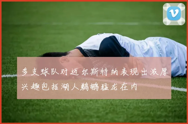 多支球队对迈尔斯特纳表现出浓厚兴趣包括湖人鹈鹕猛龙在内